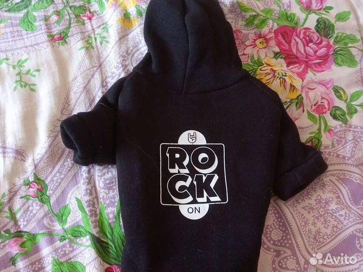 Одежда для котов