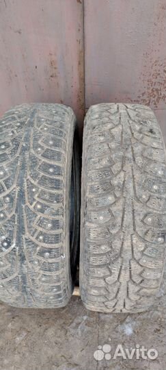 Nokian Tyres Nordman 5 175/65 R14