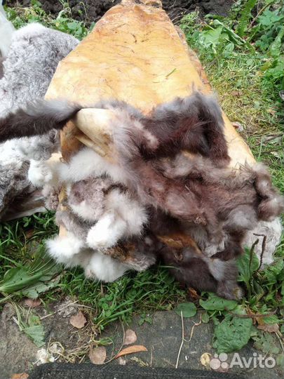 Охота и рыбалка одежда