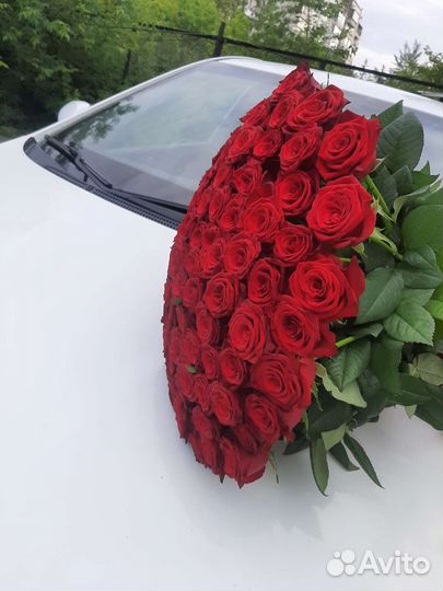 Свежие розы 