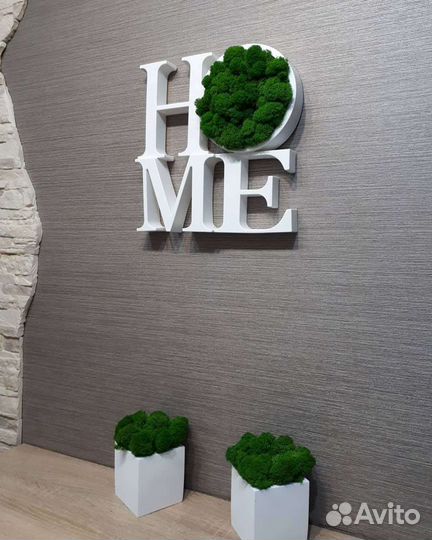 Стабилизированный мох декор home