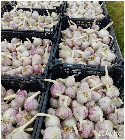 Инвестиции в сельское хозяйство