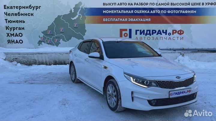 Уплотнитель стекла двери задней левой Kia Optima