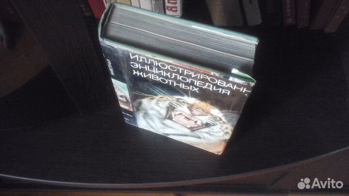 Иллюстрированная энциклопедия животных В Я Станек