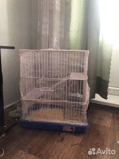 Клетка для грызунов очень большая