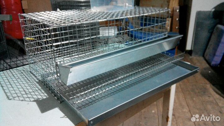 Клетка для перепелов кп-20