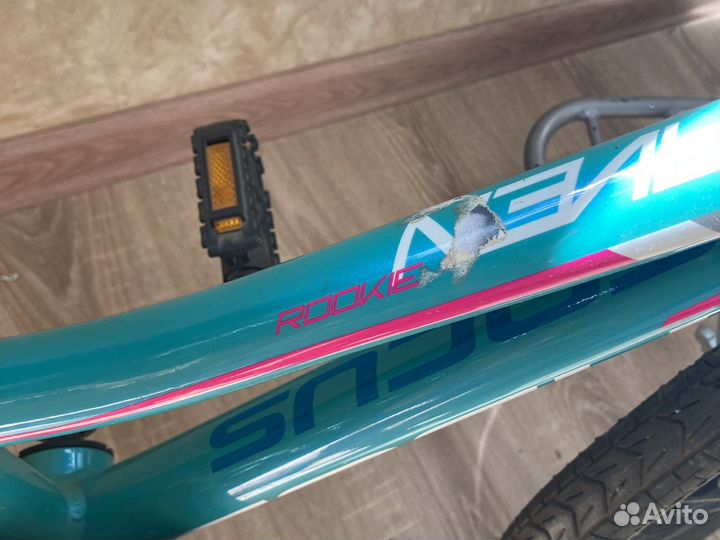 Велосипед Focus rookie