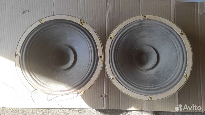 Динамики 30гд 301