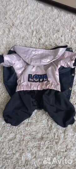 Дождевик для маленькой собаки