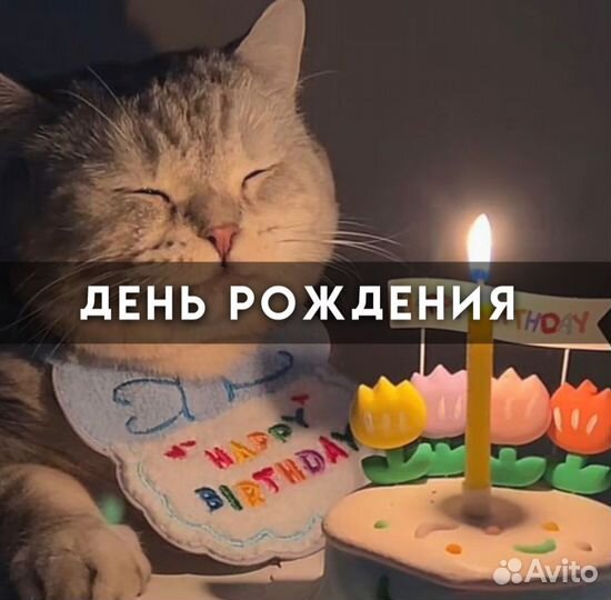 Видеомонтаж, качественно, рилсмейкер