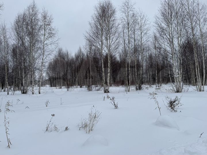 Участок 14 сот. (ИЖС)