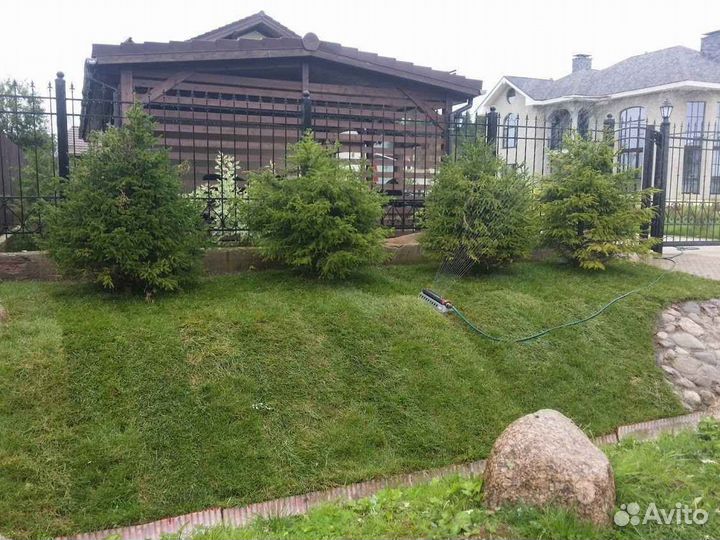 Рулонный газон спортивный