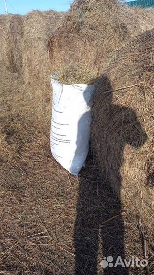 Сено луговое в мешках