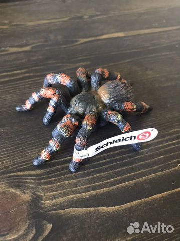 Тарантул шляйх