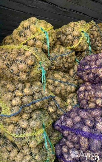 Картофель столовый вкусный местный