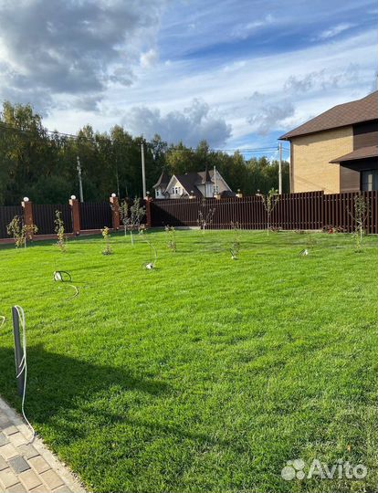 Рулонный газон с доставкой