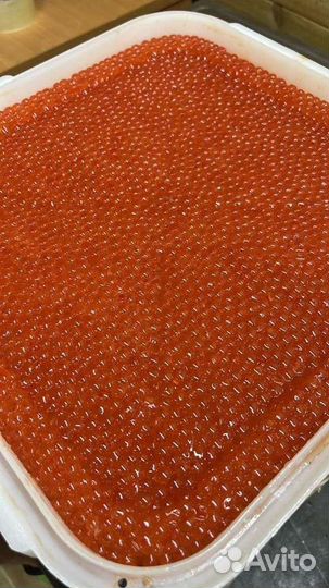 Красная икра Нерка 2023 год Июль