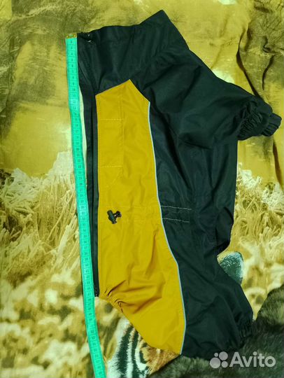 Одежда для собак