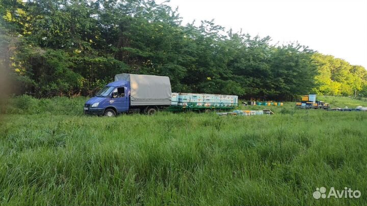 Мёд натуральный,акация,майский кориандр,мед