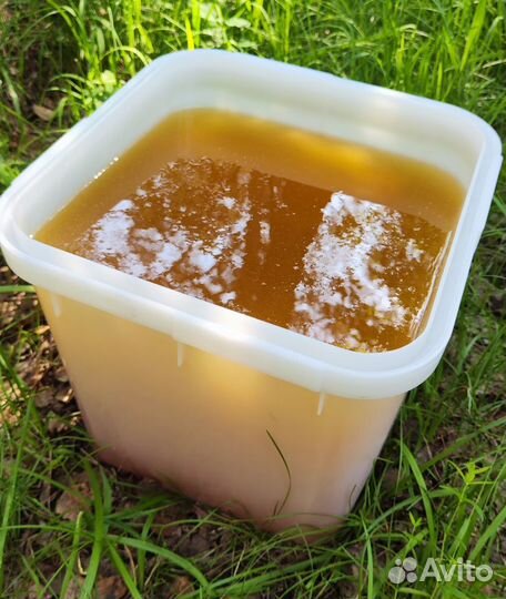Опт. мёд натуральный Алтайский от 16 кг