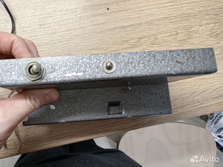 Вспышка чайка