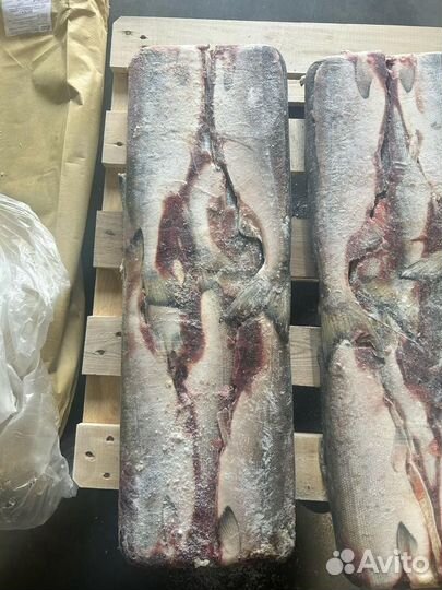 Продажа мяса и рыбы оптом