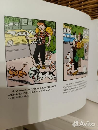 Необыкновенные приключения Пети Рыжика Мелик- Паш