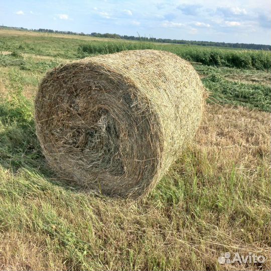 Сено в рулонах 2023