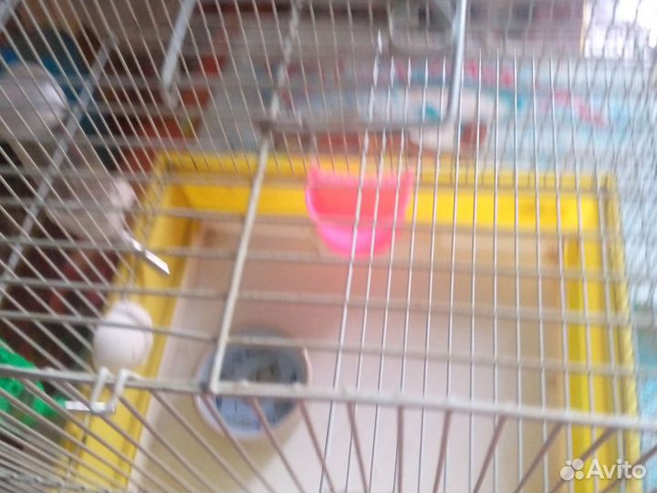 Клетка для грызунов