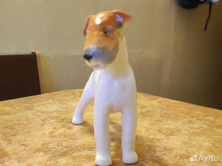 Статуэтка фарфор СССР фокстерьер