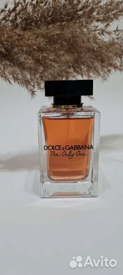 Dolce gabbana the only one