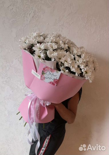 Хризантема