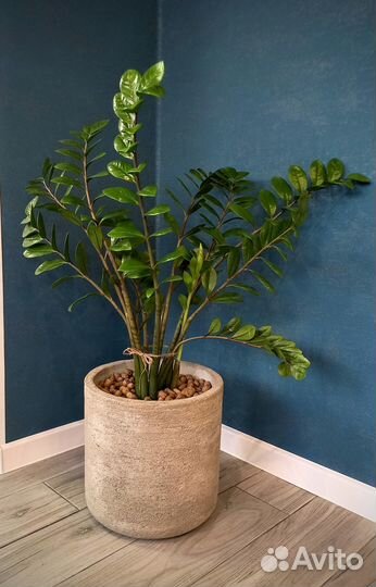 Вазоны для цветов