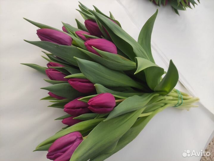 Розы цветы с доставкой