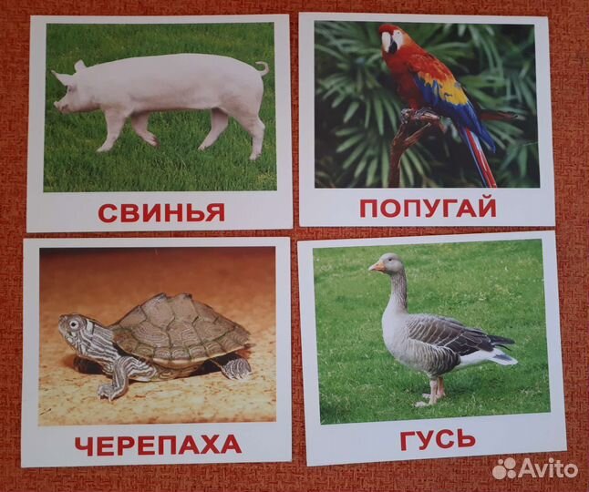 Карточки развивающие 