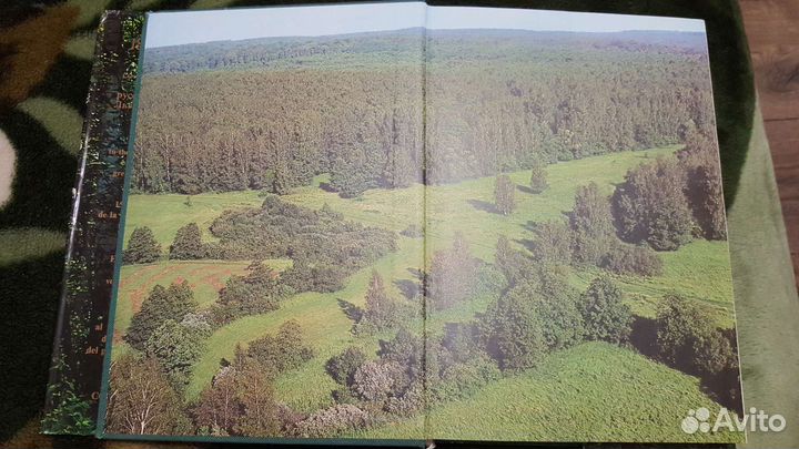 Книга Ясная поляна