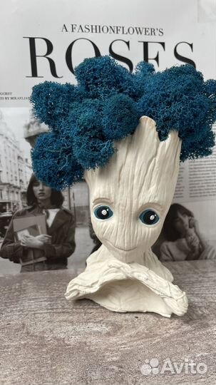 Кашпо со мхом Грут большой