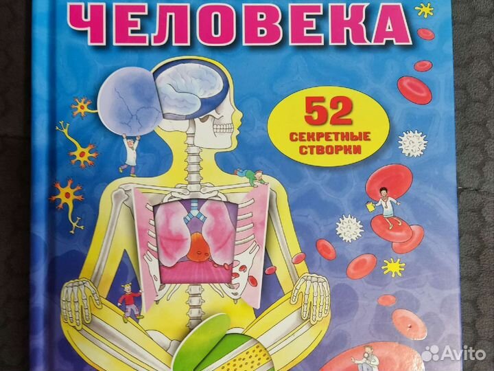 Книга с окошками Открой тайны человека