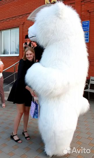 Белый мишка Поздравление (аниматор)