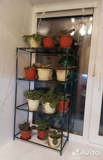 Мини парник