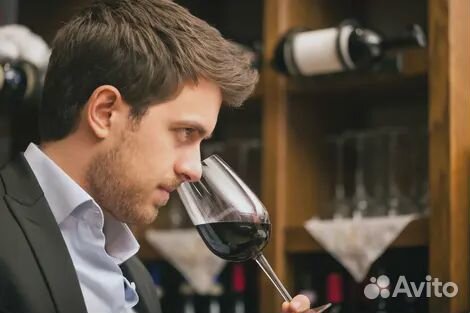 Начинающий сомелье. Курс обучения в винной школе
