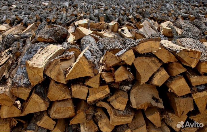 Дрова осина