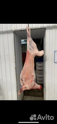 Мясо говядина баранина