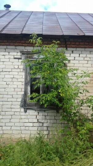Участок 34 сот. (ИЖС)