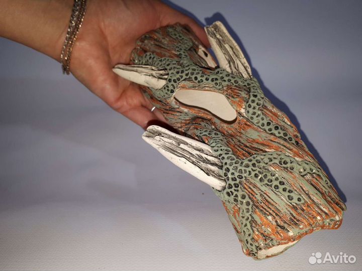 Аквариумистика