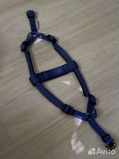 Одежда и амуниция для маленьких собак