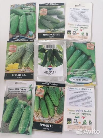 Рассада огурцов, тыка, кабачков, примула