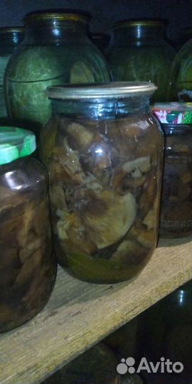 Грибы маринованные