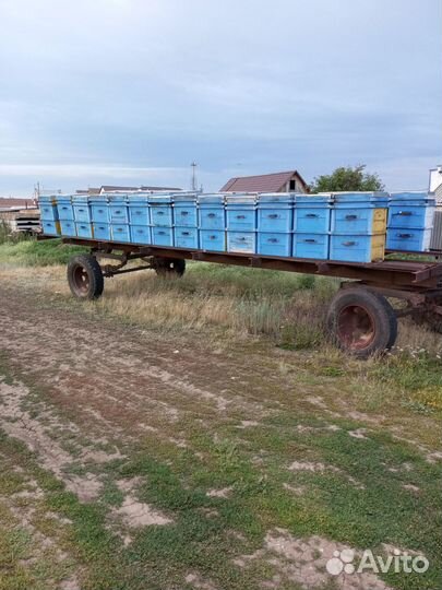 Платформа с ульями для пчёл