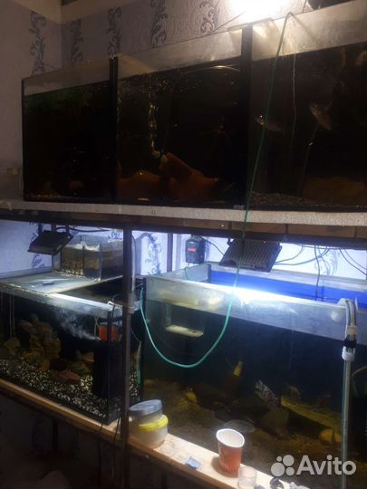 Аквариум